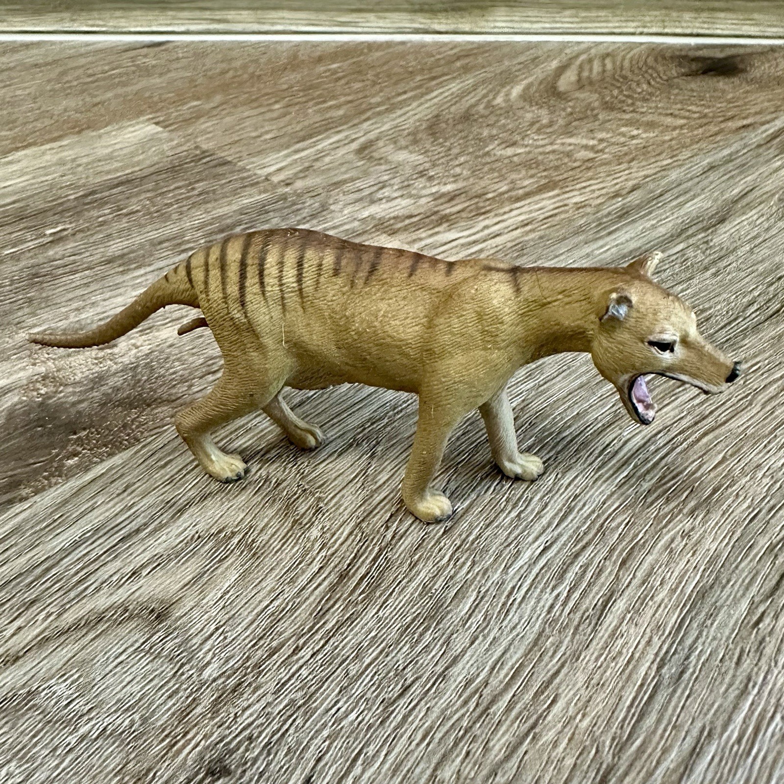 Collecta Thylacine Tasmanian Tiger Prehistoric Figure Rare Collectible 2016