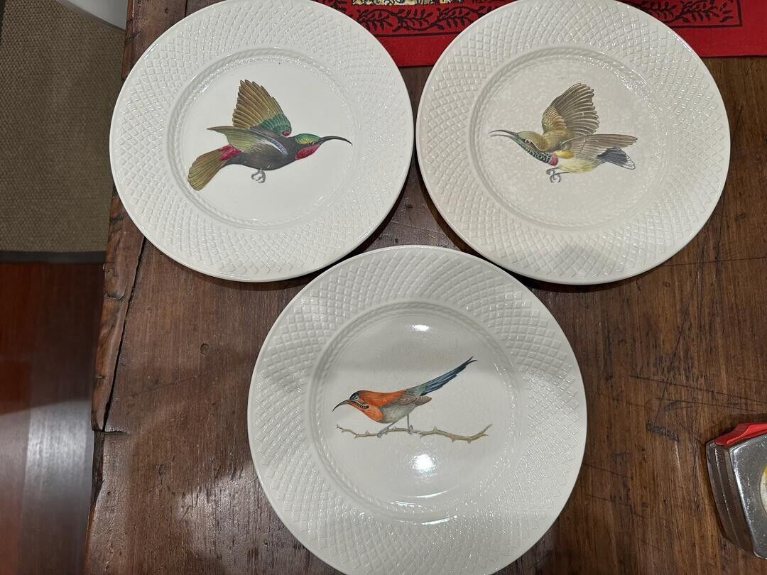 3 Rare Spode's Mansard Copeland 9.5 Inch Dinner Plate Hand Coloured Exotic Bird