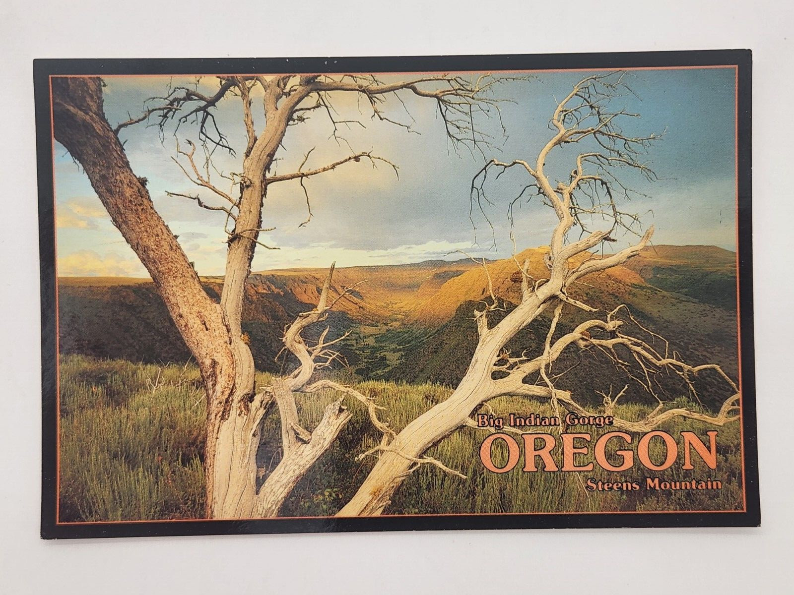 Postcard Steens Mountain Big Indian Gorge Southeastern Oregon, OR Unposted