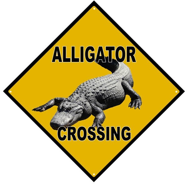 ALLIGATOR CROSSING 12\