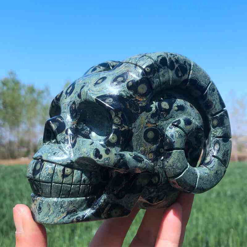 2.99LB Natural Kambaba Jasper Skull Hand Carving Quartz Crystal Skull Reiki Gift