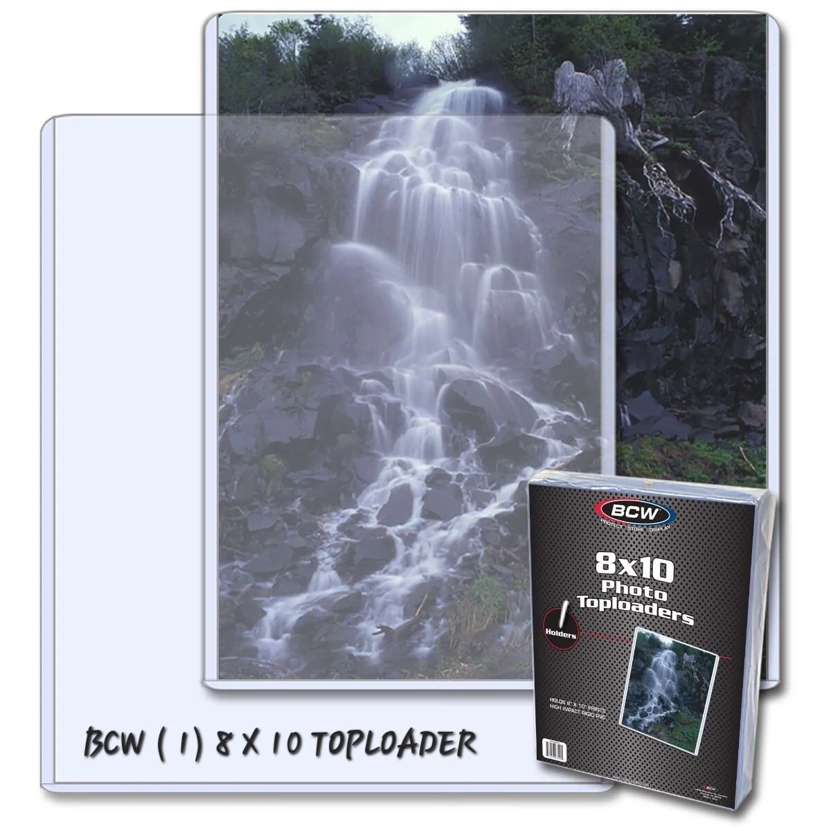 (1) BCW 8x10 Toploader Protector for Photos - Documents - Prints - Holder 8 x 10