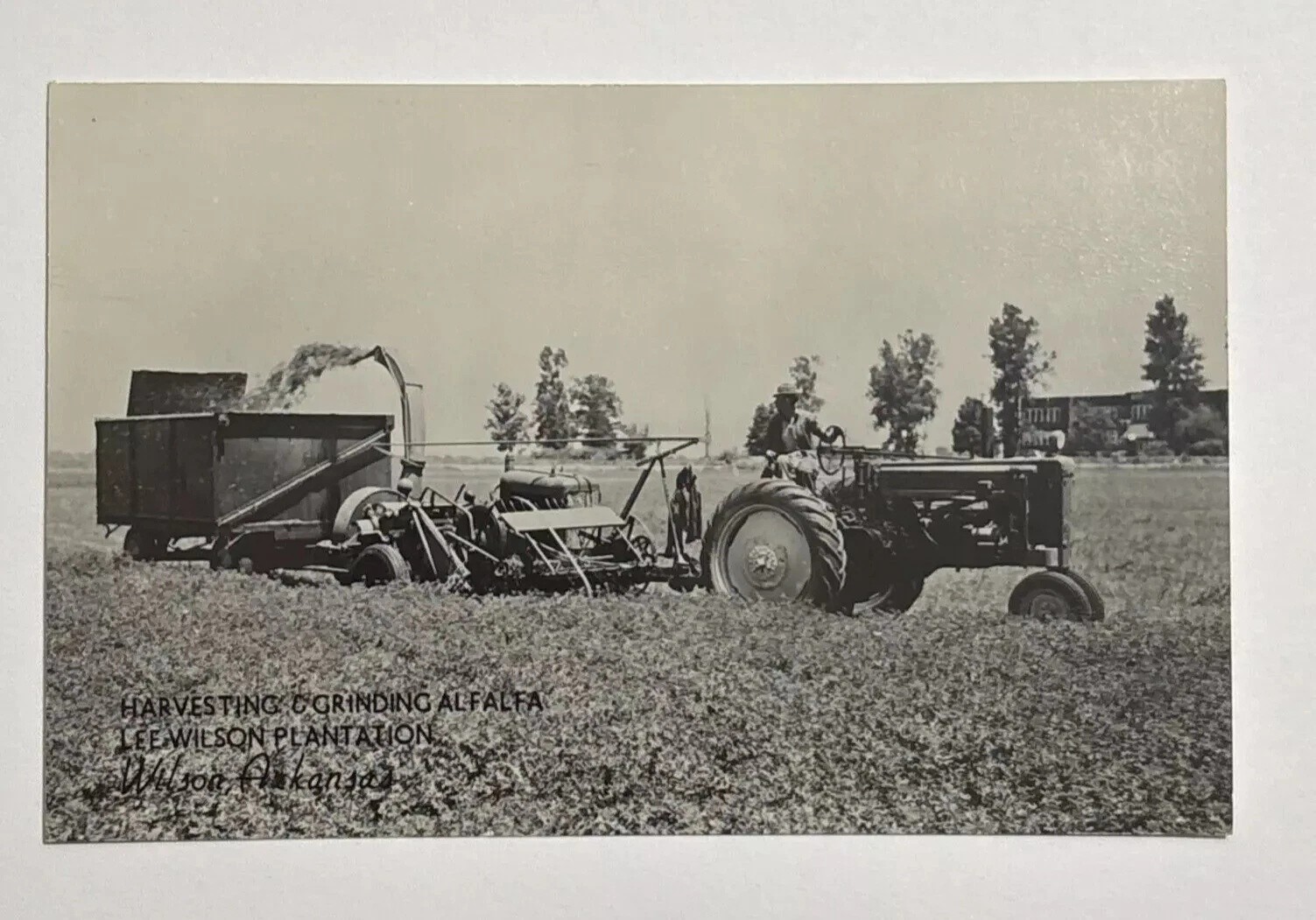 Harvesting & Grinding Alfalfa Lee Wilson Plantation Arkansas Real Photo Postcard