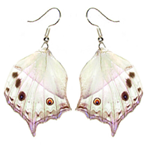 Salamis parhassus hindwing pink purple preserved butterfly wing earrings Salamis parhassus hindwing pink purple preserved butterfly wing earrings