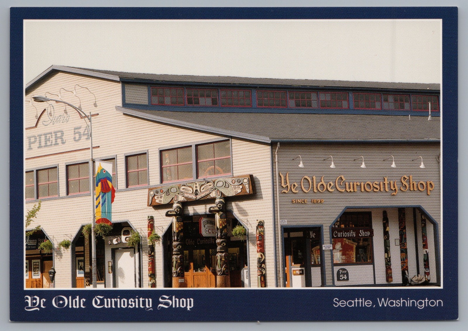 Postcard Ye Olde Curiosity Shop Seattle Washington 4x6 USA Postcard Ye Olde Curiosity Shop Seattle Washington 4x6 USA