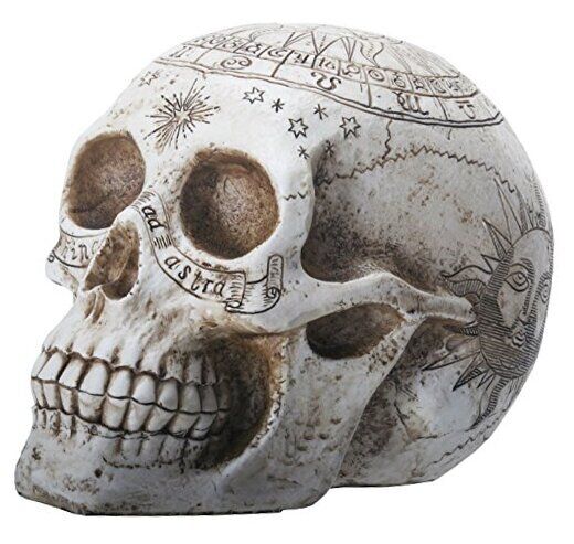 YTC 7.75 Inch Resin Skull with Astrology Engravings, White Colored 