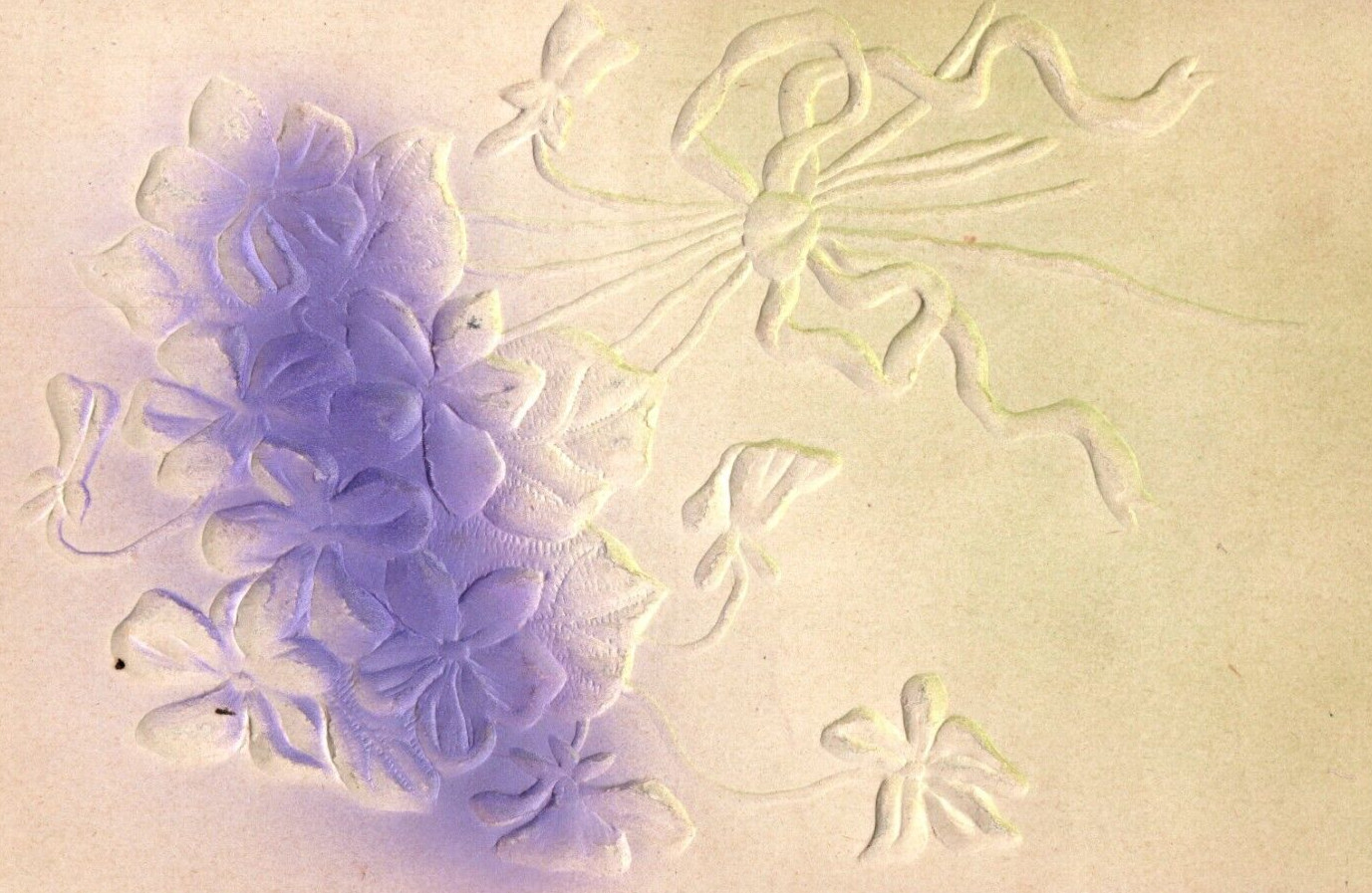 1908 Embossed Postcard - Hand Tinted
