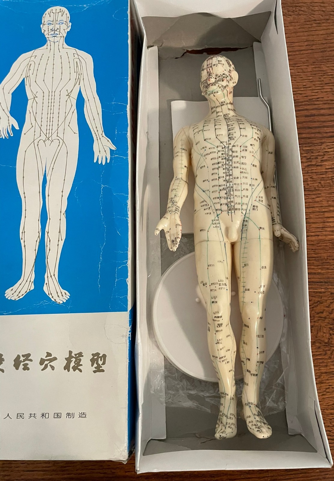 Vintage Chinese Acupuncture Meridian Figure 46cm Medical Model w/ Box