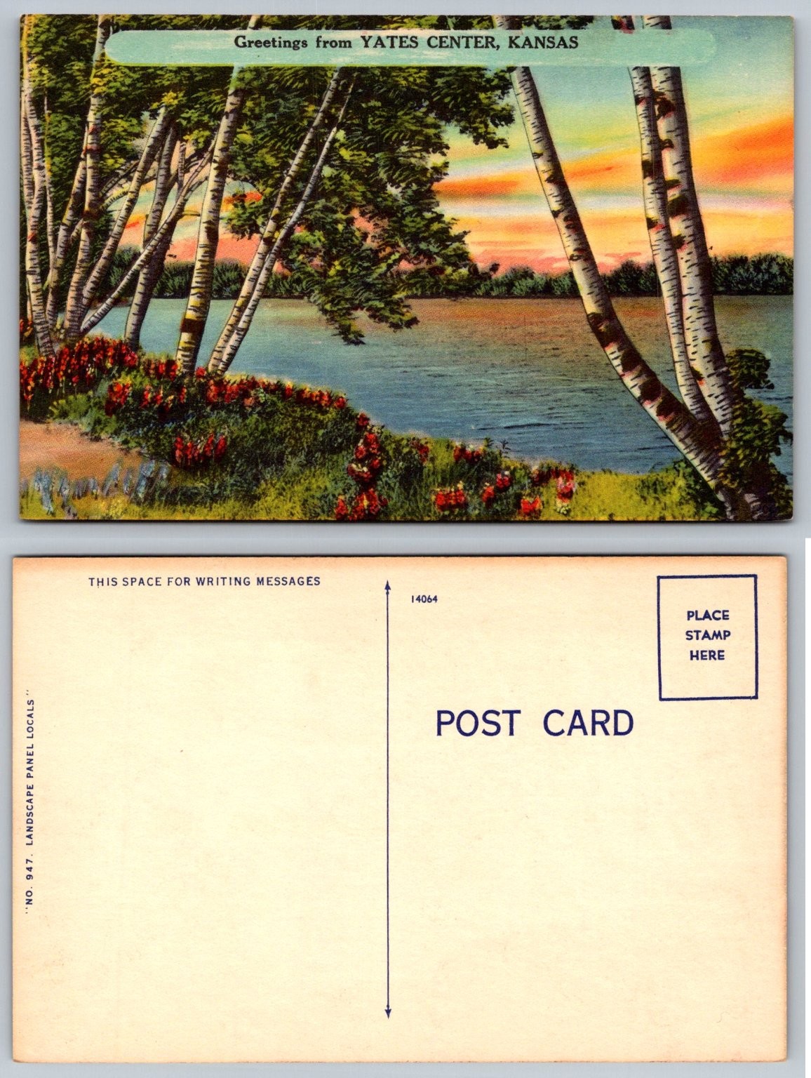 Greetings from Yates Center, Kansas - Scenic Lake & Birch Trees Postcard Greetings from Yates Center, Kansas - Scenic Lake & Birch Trees Postcard