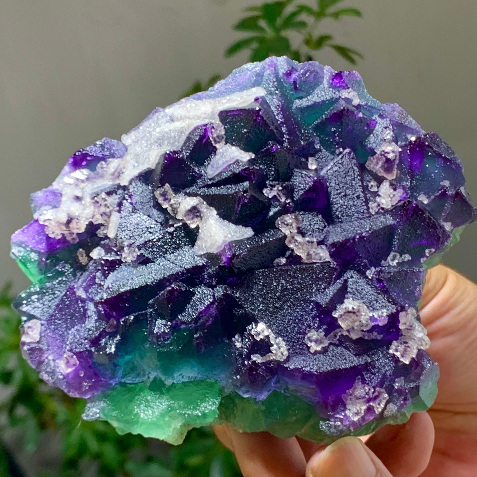 1.15LBRareTransparent Purple Green Cube Fluorite Mineral Crystal Specimen/China