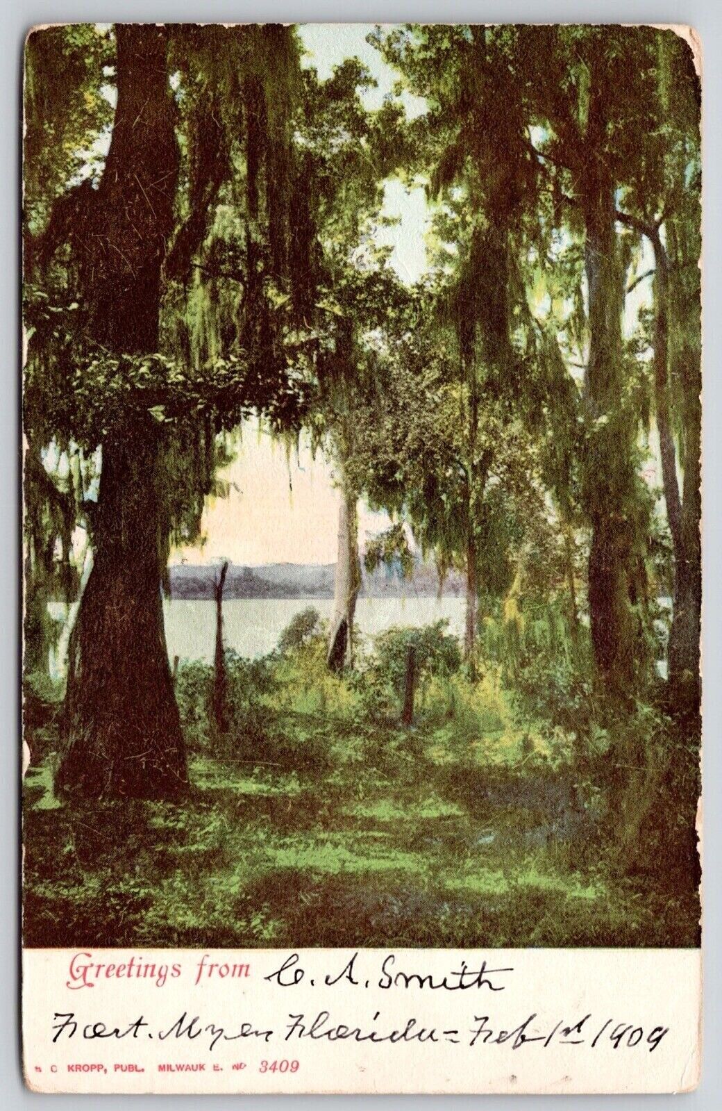 Greetings Fort Myers Florida Spanish Moss Waterfront FL WOB Vintage UNP Postcard