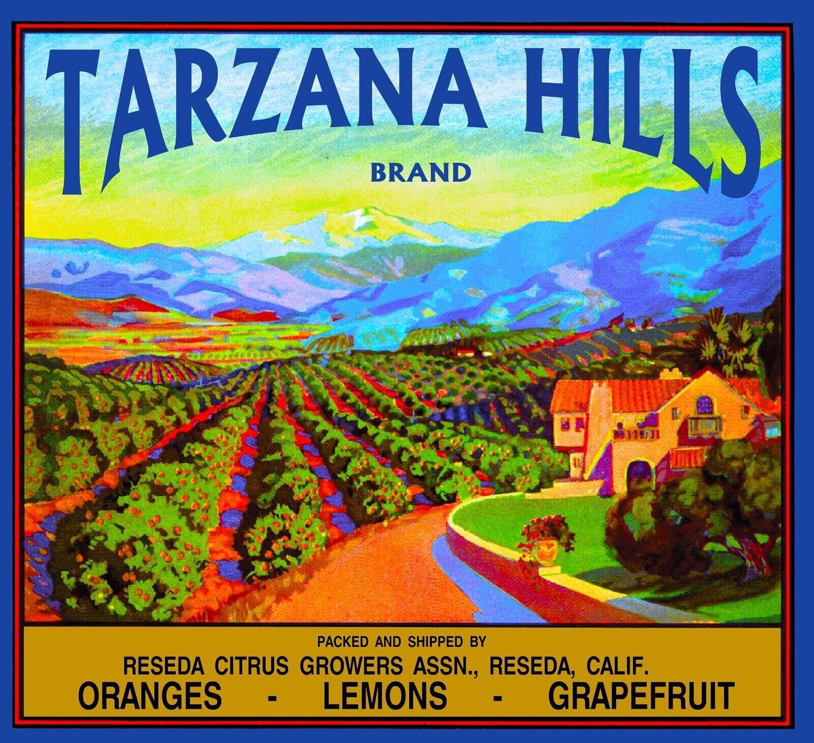 Tarzana Hills Reseda California Vintage Orange Citrus Fruit Crate Label Print