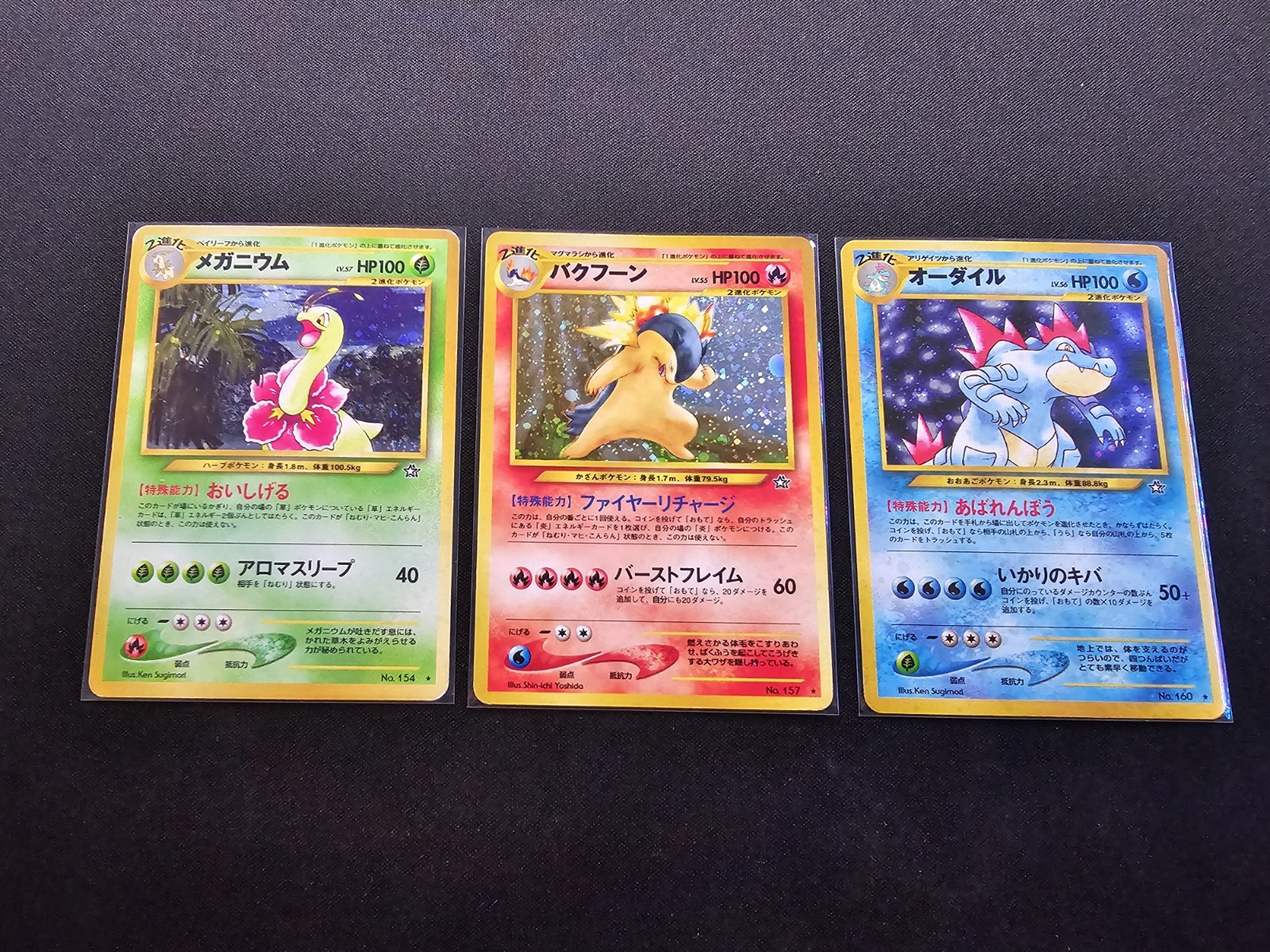 Japanese Neo Premium File Maganium, Typhlosion And Feraligator