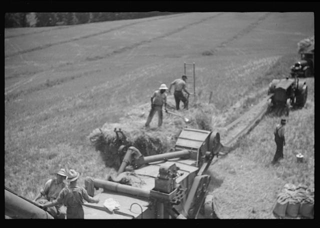 Photo:Brookeville Maryland 1937 Threshing Oats Farm Workers Tractor