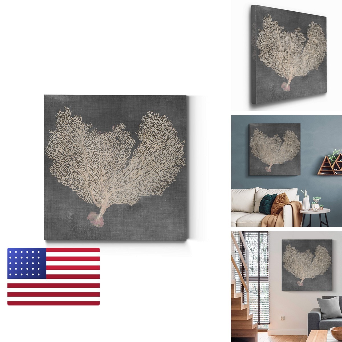 Renditions Gallery Square Canvas Wall Art Natural Sea Fan VI 24x24