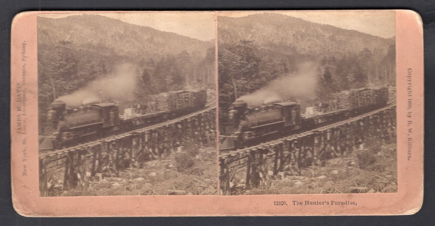 USA 1899 East Branch & Lincoln Railroad Train; Logging; Kilburn Stereoview Photo