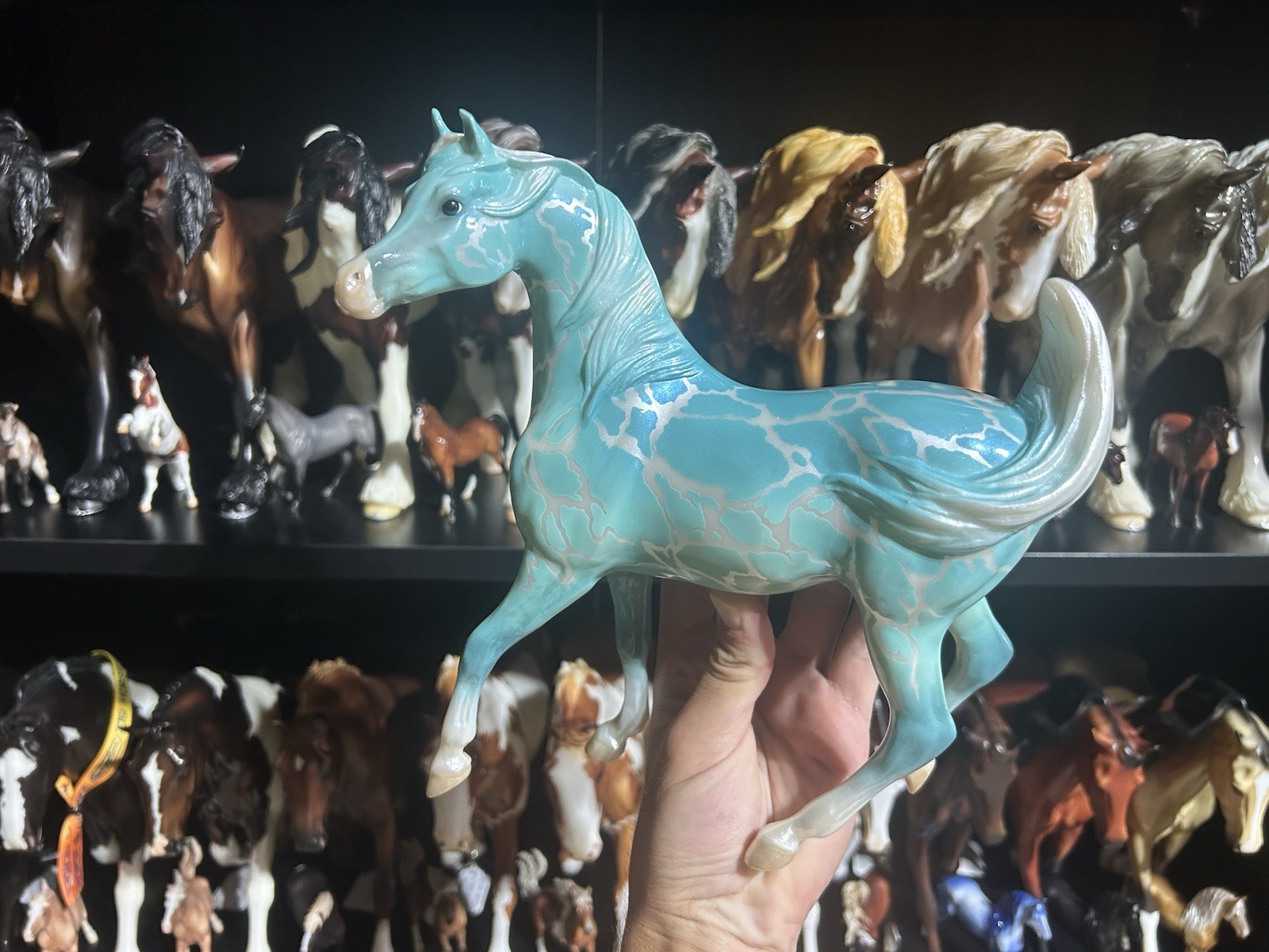 Breyer Belize Glossy 2026 Exotic Destinations Collector Club Web Special Sham Breyer Belize Glossy 2026 Exotic Destinations Collector Club Web Special Sham