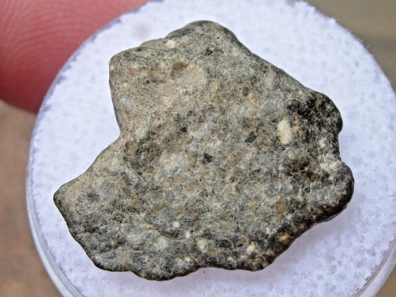 1.72 gram 20mm Laâyoune 002 Lunar Meteorite Moon as found Laayoune with a COA
