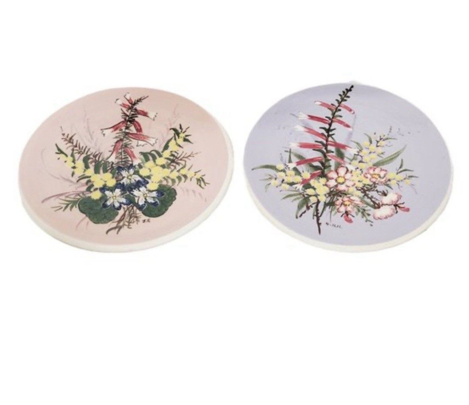 2 Beautiful Signed 1950s GUY BOYD Australian WILDFLOWERS Wall Plates Perfect