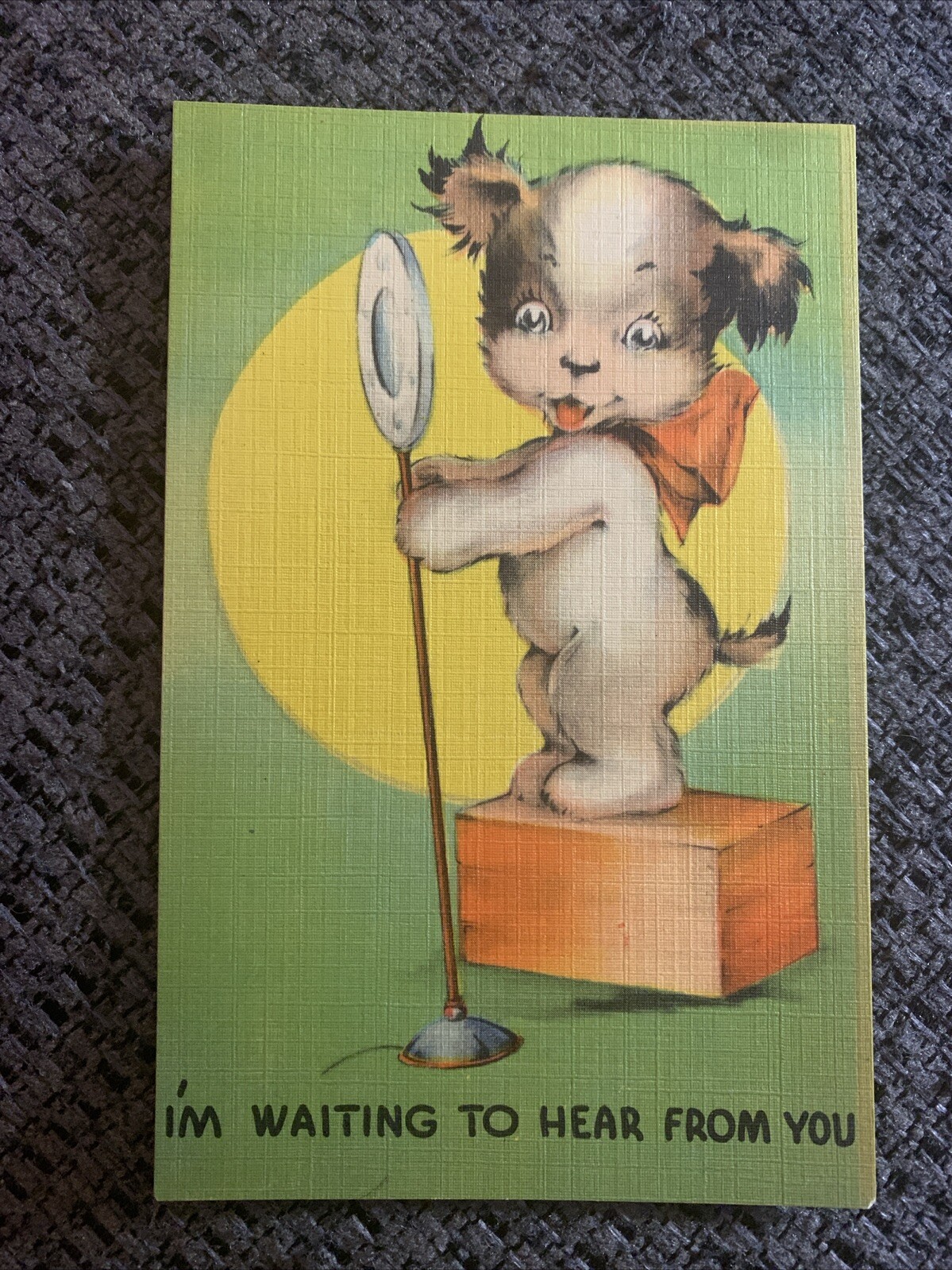 Postcard Comic Humorous Puppy With Microphone. Anthropomorphic VTG Linen PC UNP