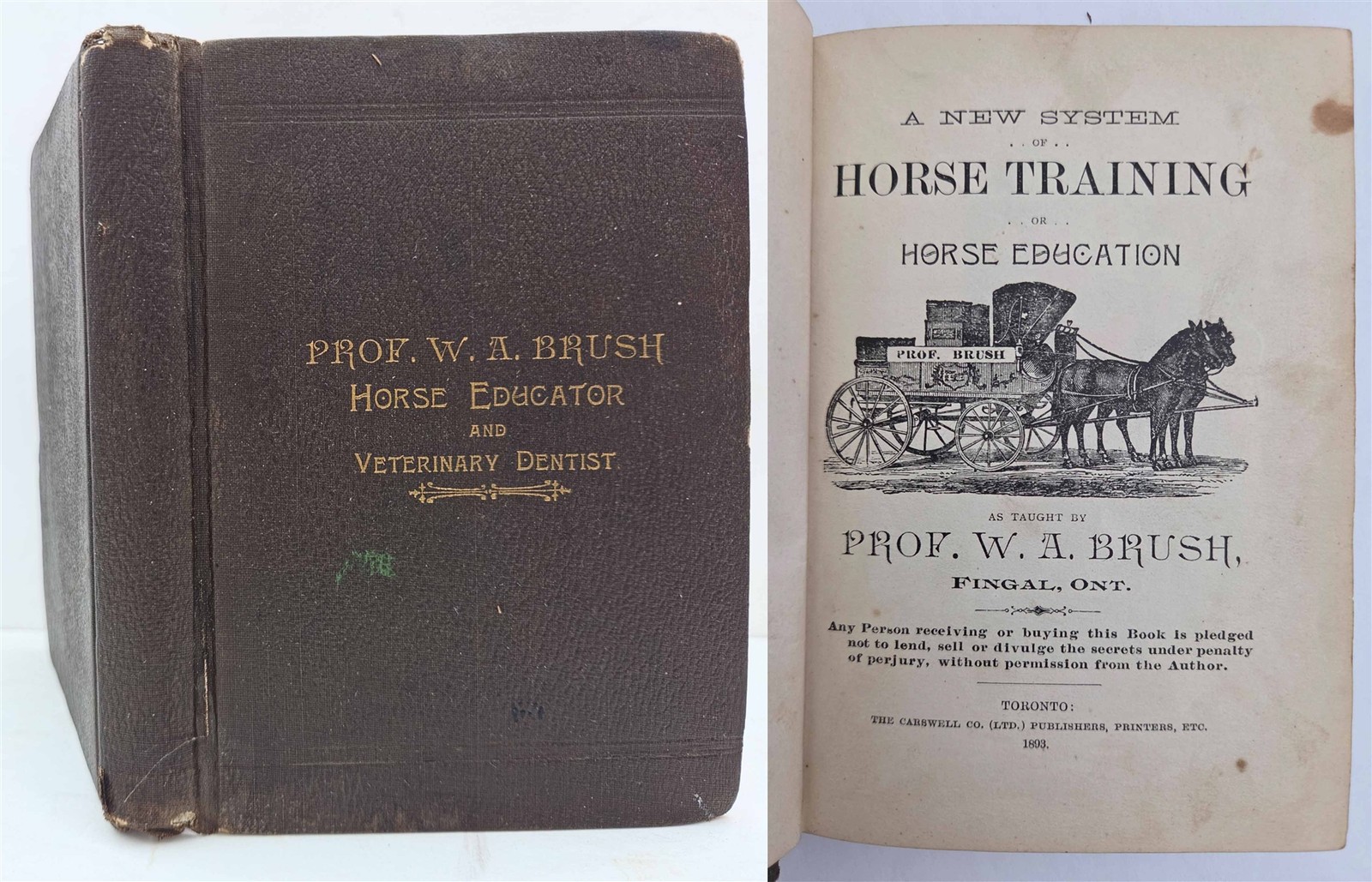 c1895 antique THE HORSE EDUCATOR W A BRUSH HORSE TRAINING SHOEING TRICKS BOOK