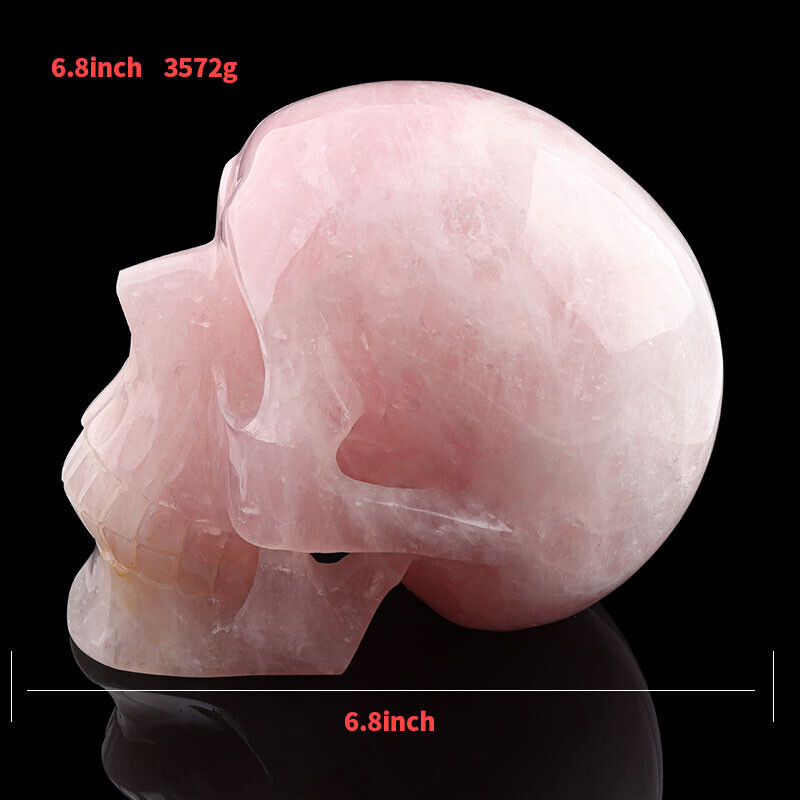 6.8\'\' Rose quartz Carved Crystal Skull,Realistic - Skull Gemstone & Crystal