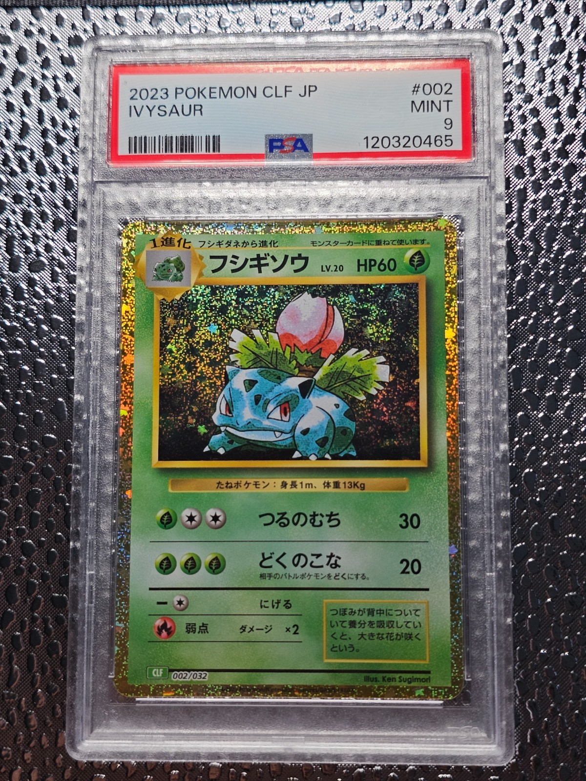 PSA 9 IVYSAUR 002/032 CLASSIC COLLECTION JAPANESE POKEMON CARD PSA 9 IVYSAUR 002/032 CLASSIC COLLECTION JAPANESE POKEMON CARD
