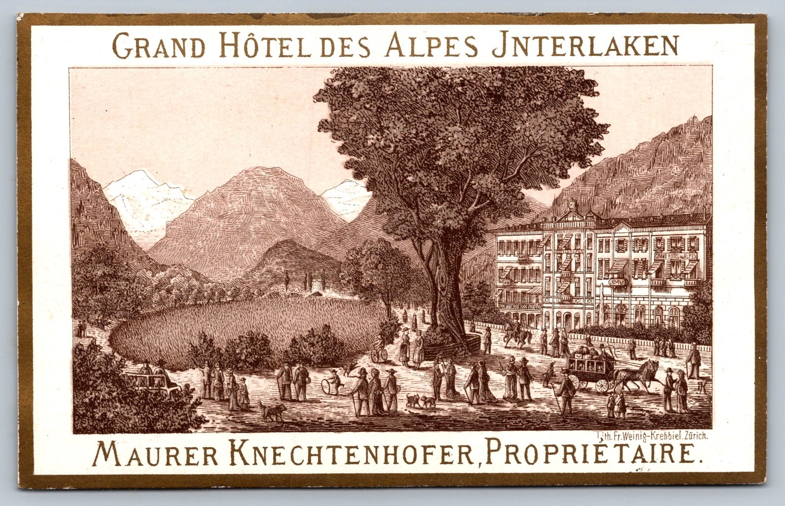 VTC GRAND HOTEL DES ALPES INTERLAKEN SWITZERLAND C1880 nice graphics /rare