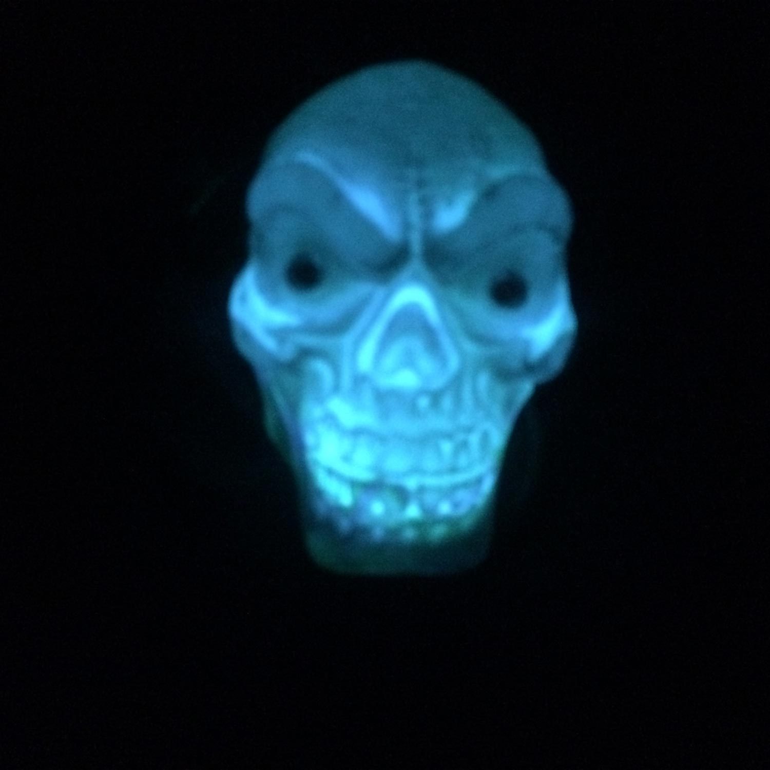 Gothic Shrunken HANGING BLACK HOODED SKULL Flashing Lights Halloween Decoration