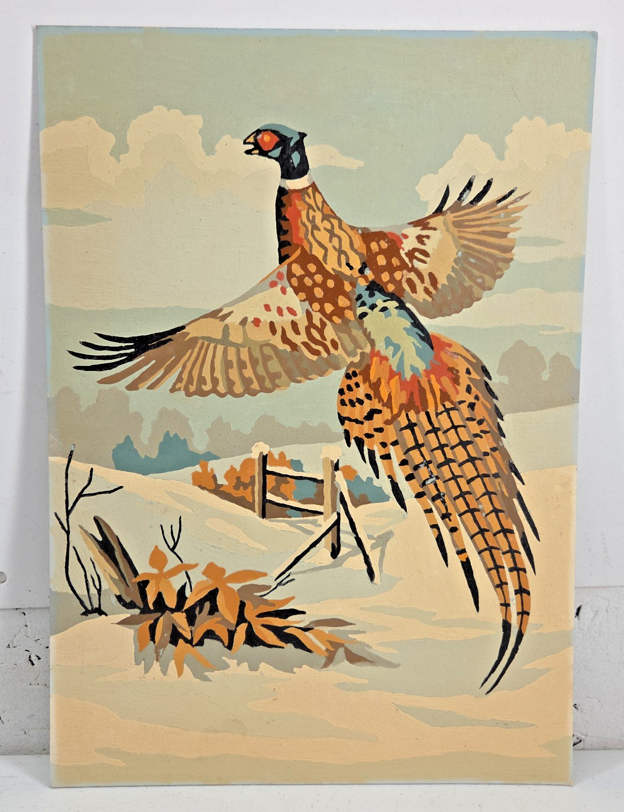Vintage Paint by Number PBN Painting Pheasant Bird 14x10