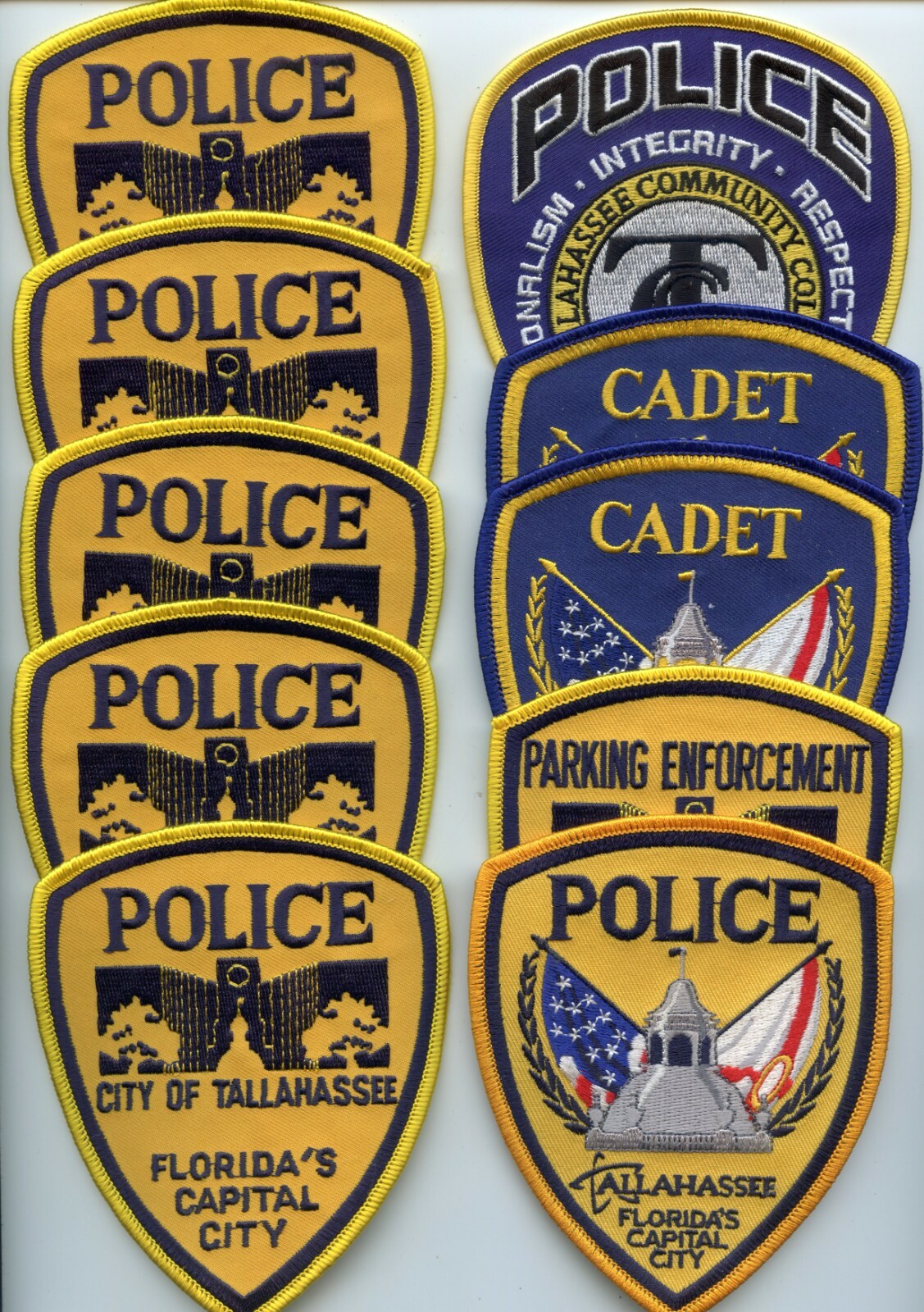 TALLAHASSEE FLORIDA Patch Lot COLLECTORS SPECIAL 10 Police Patches POLICE PATCH