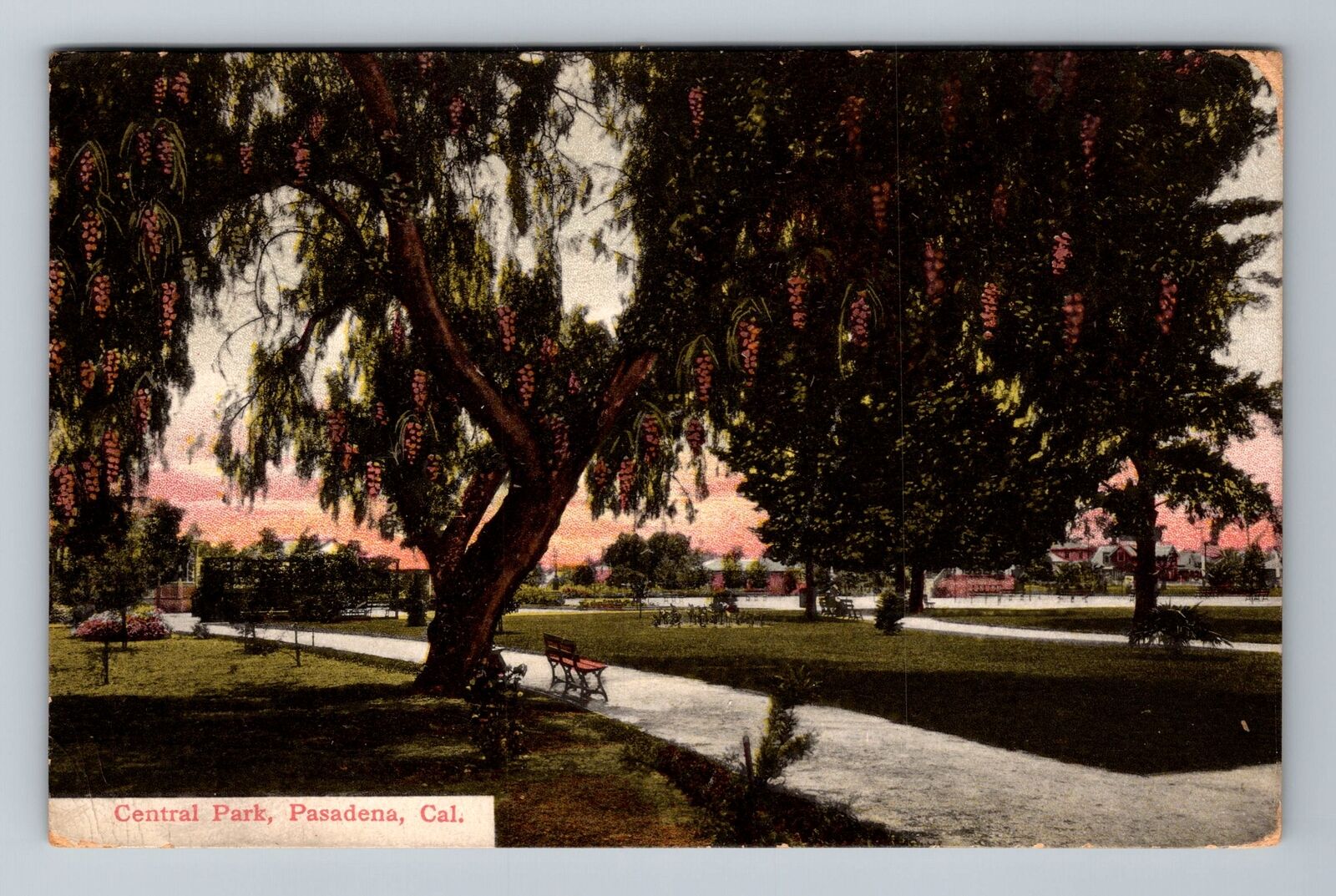 Pasadena CA-California, Central Park, Scenic, c1909, Vintage Postcard