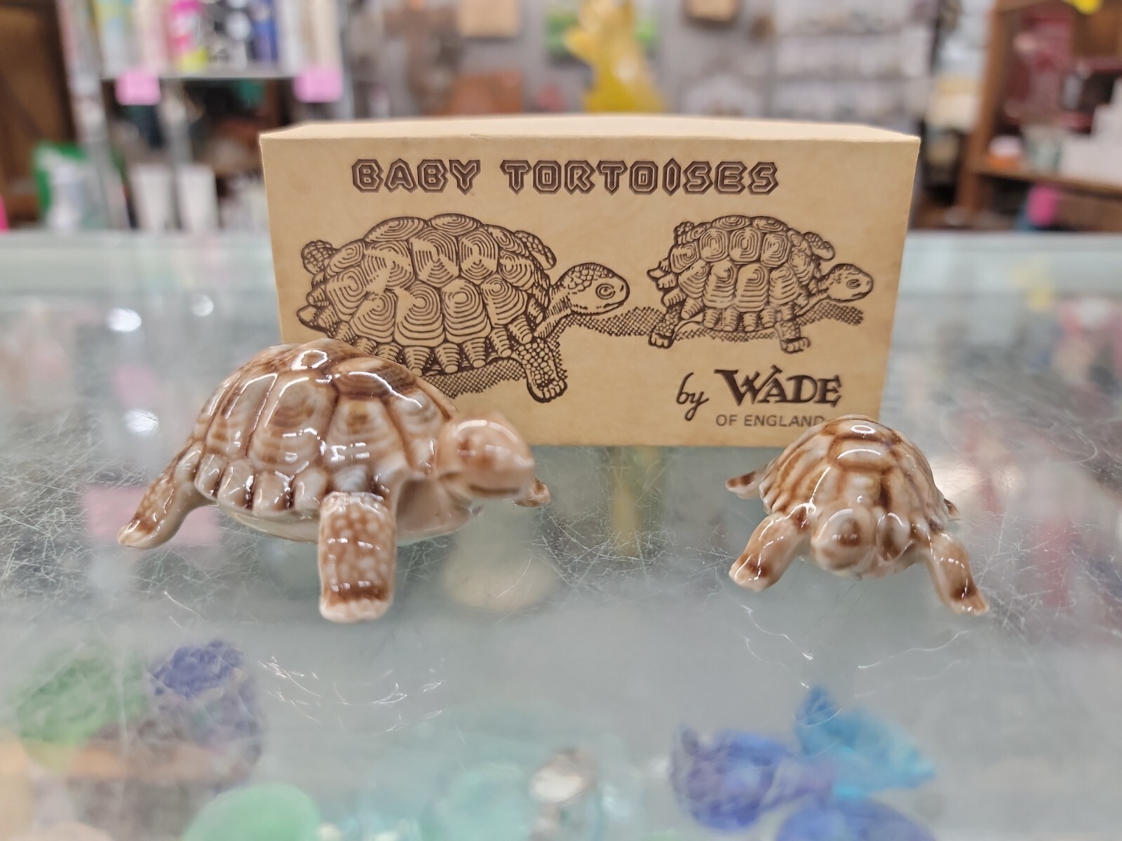Vintage WADE Porcelain Baby Tortoise England in original Box