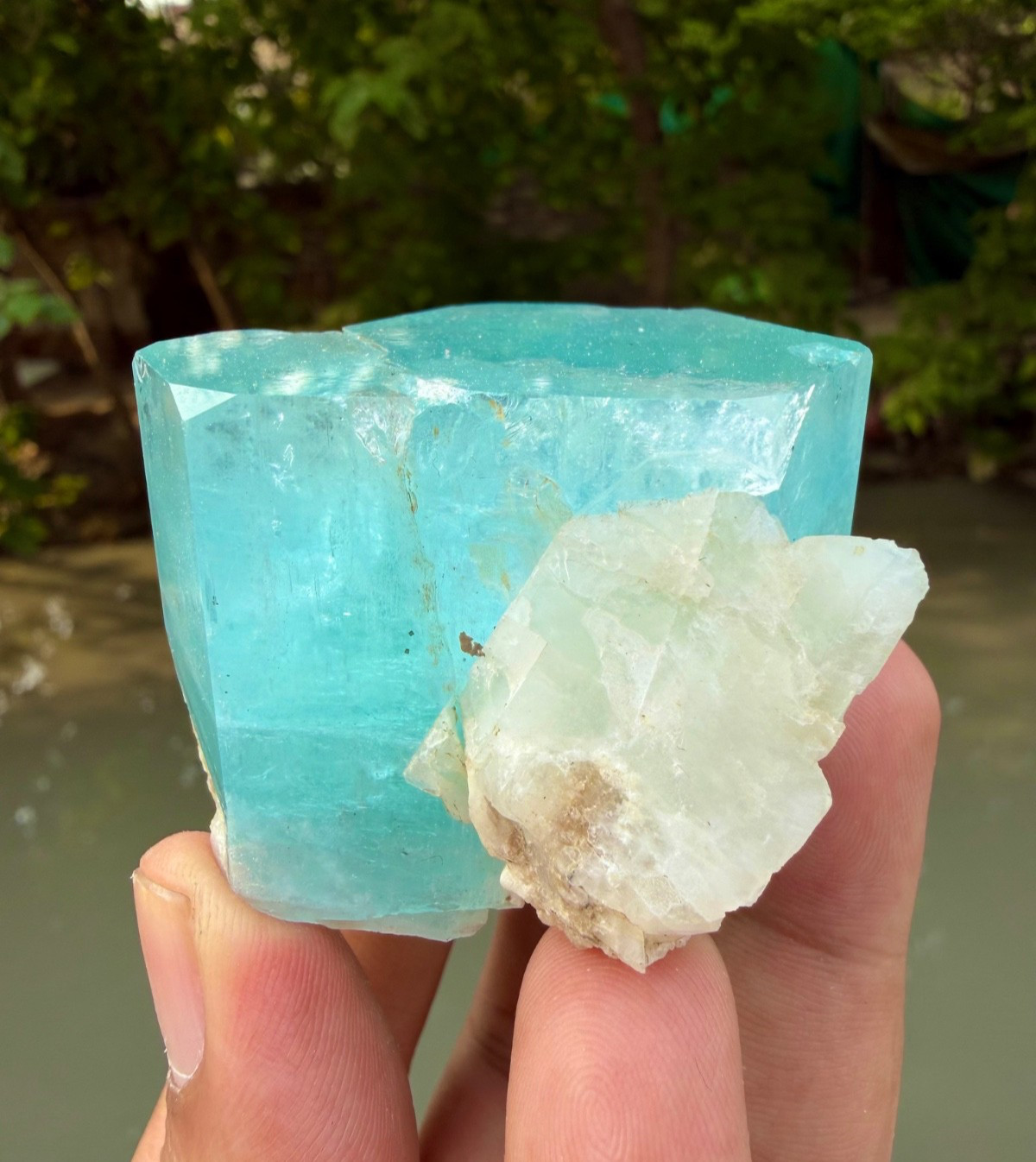 Natural Rich Blue Terminated Aquamarine Crystal On Matrix , Specimen @ Minerals