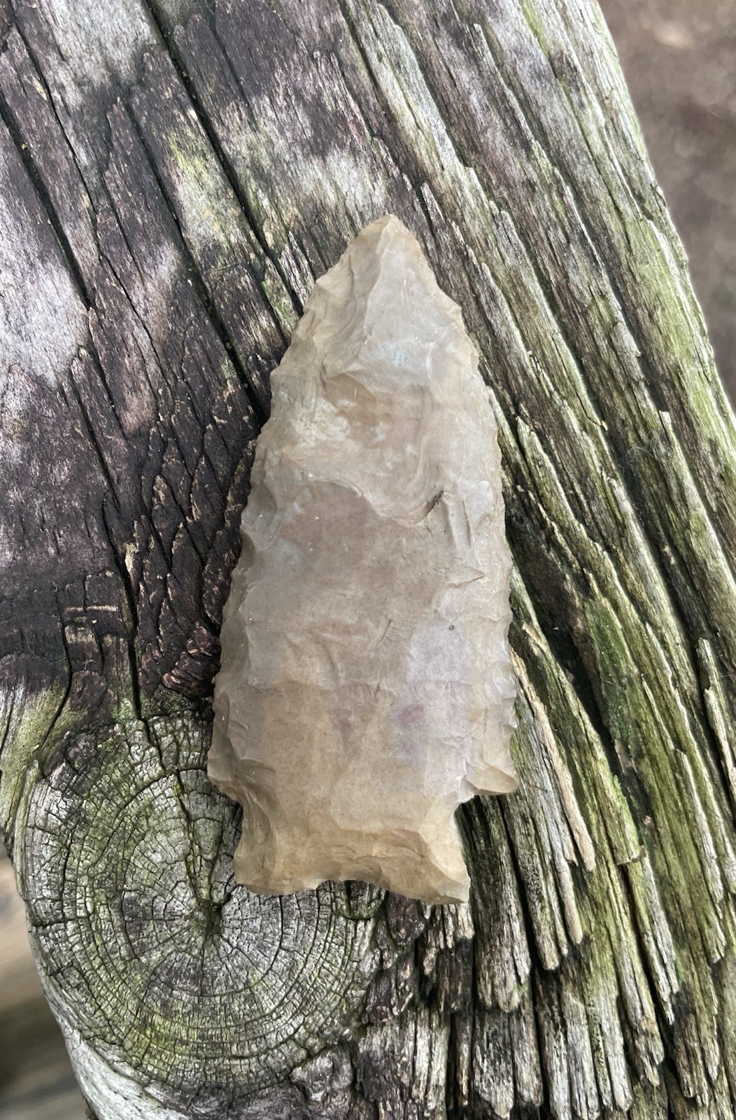 Buzzard Roost Authentic. 6k-4k MA. 2 6/8”  Colbert Co. Alabama.Basal Grinding .
