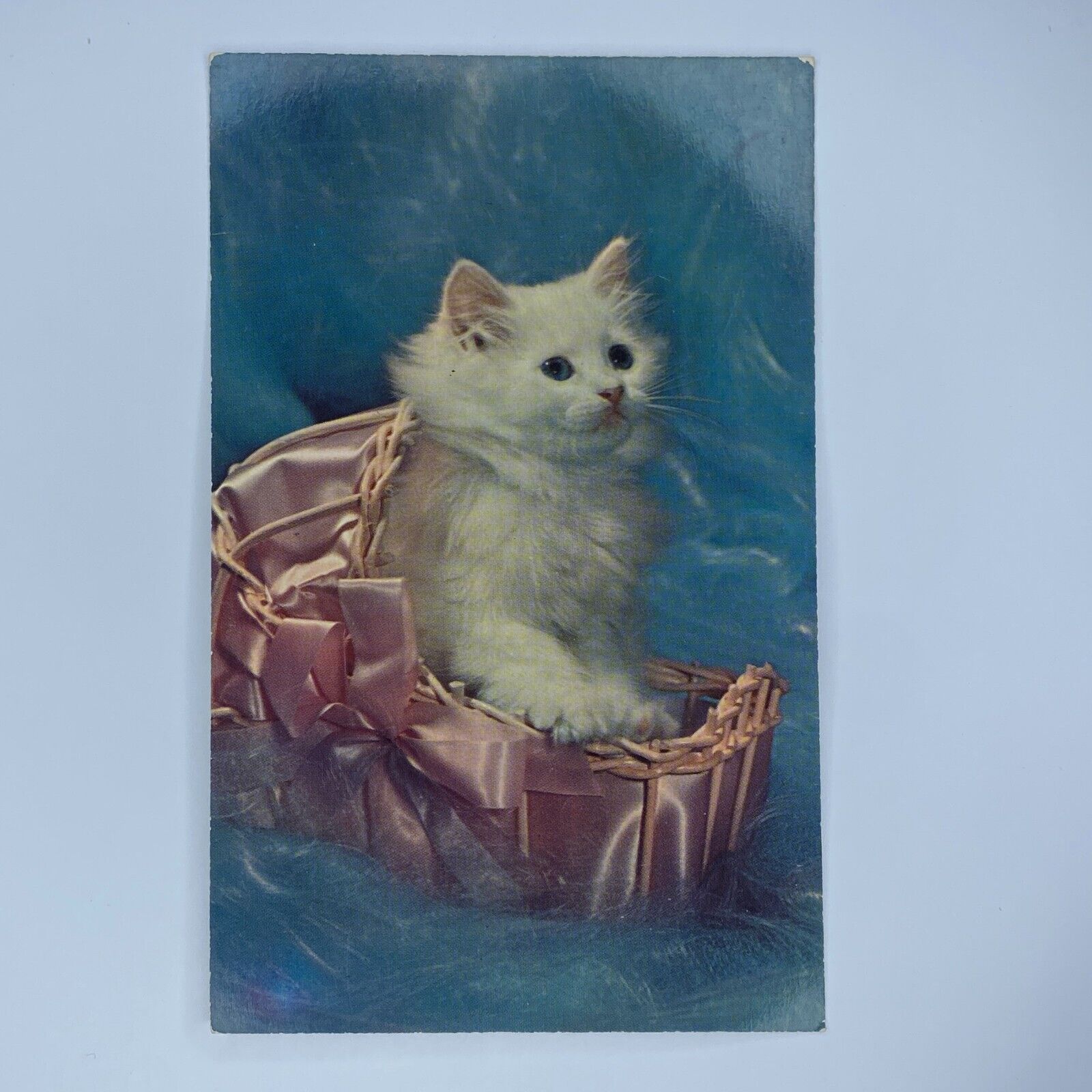 White Long Hair Cat Pink Satin Basket Postcard Unposted Colourpicture