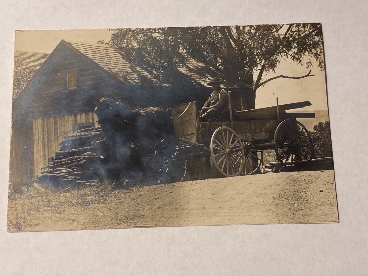 Antique Lumber Wagon w Horse RPPC Port Byron IL Brummer
