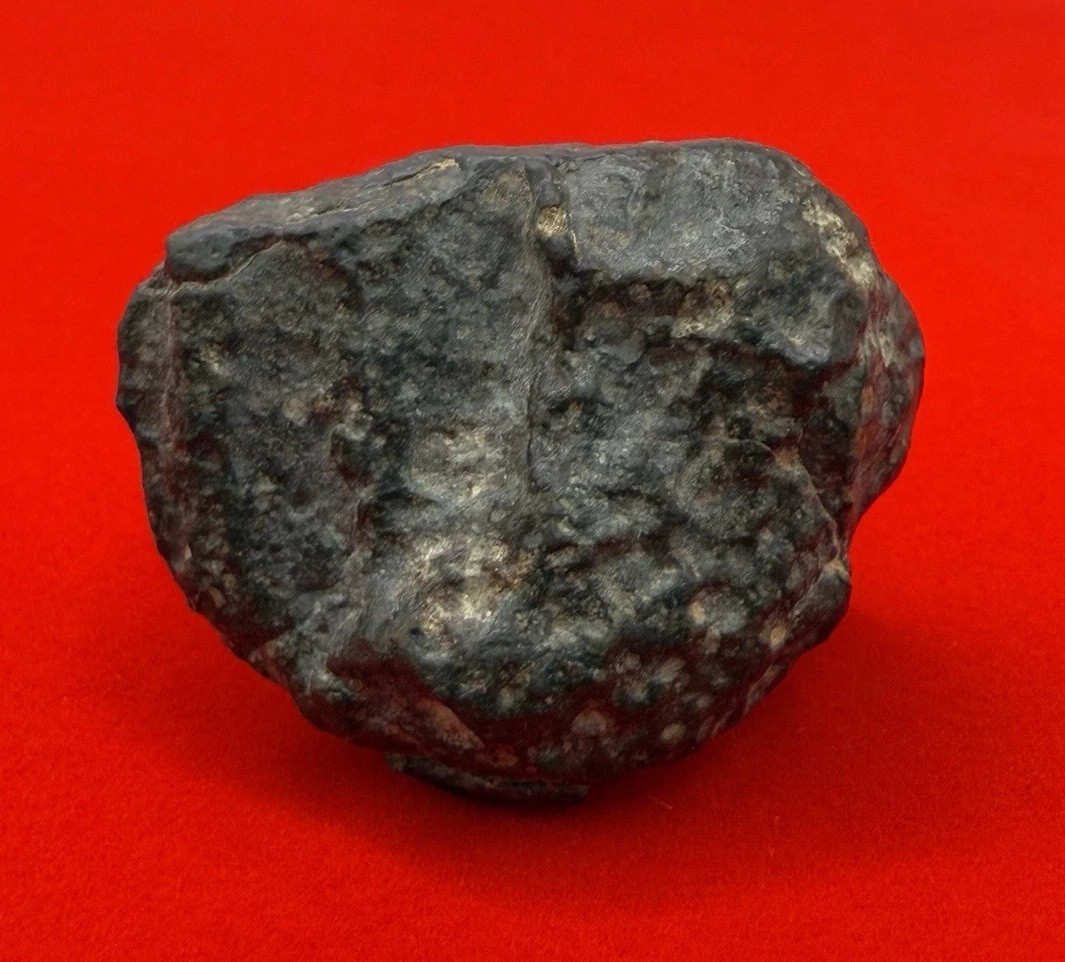 NWA 869 Meteorite, Chondrite Meteorite, Astronomy Gift, Space, 27.65 Grams