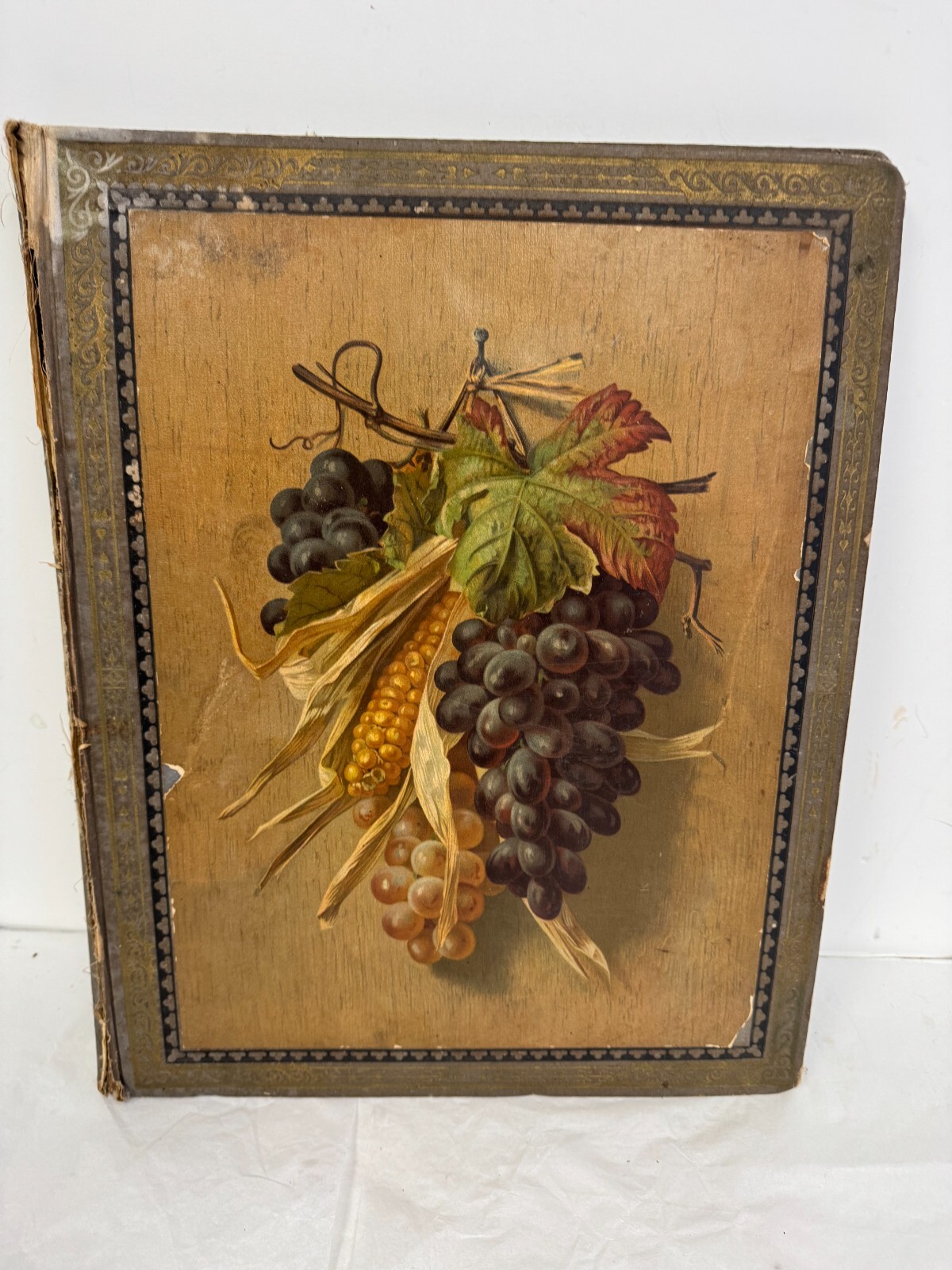 Antique Scrapbook 1800-1900 Prints Color Steel Etchings Engraved Famous RARE