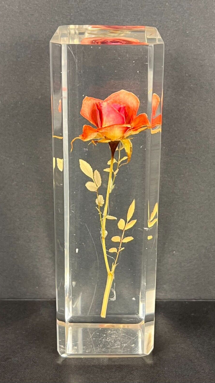Vtg Real Mini Pink Rose w/ Stem in Lucite/Acrylic Paper Weight Retro Décor Gift