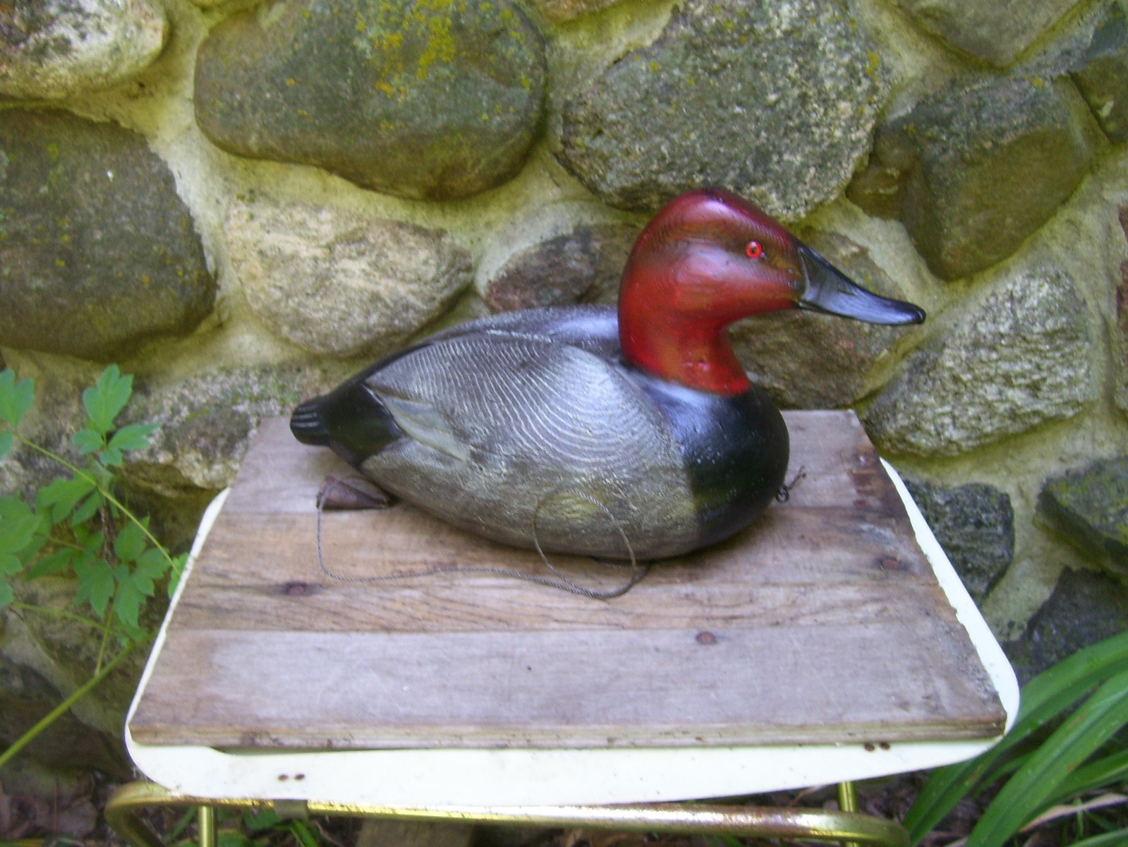 DUCKS UNLIMITED 1995 - 96  SPECIAL EDITION  CANVASBACK  DECOY WITH MADALLION
