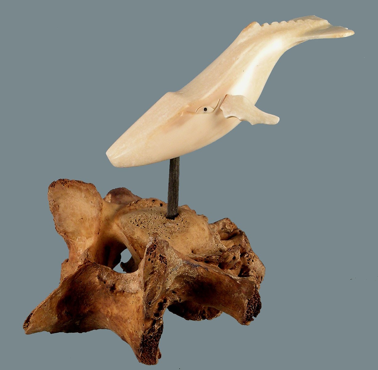 Gorgeous Fossilized Alaskan Carving of a Humpback Whale Mounted on a Vertebrae