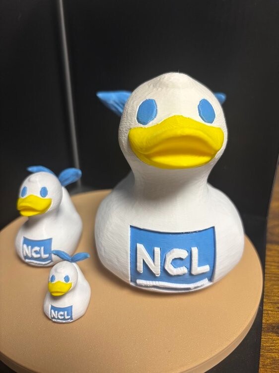 Norwegian Cruise Line (NCL) Family Pack