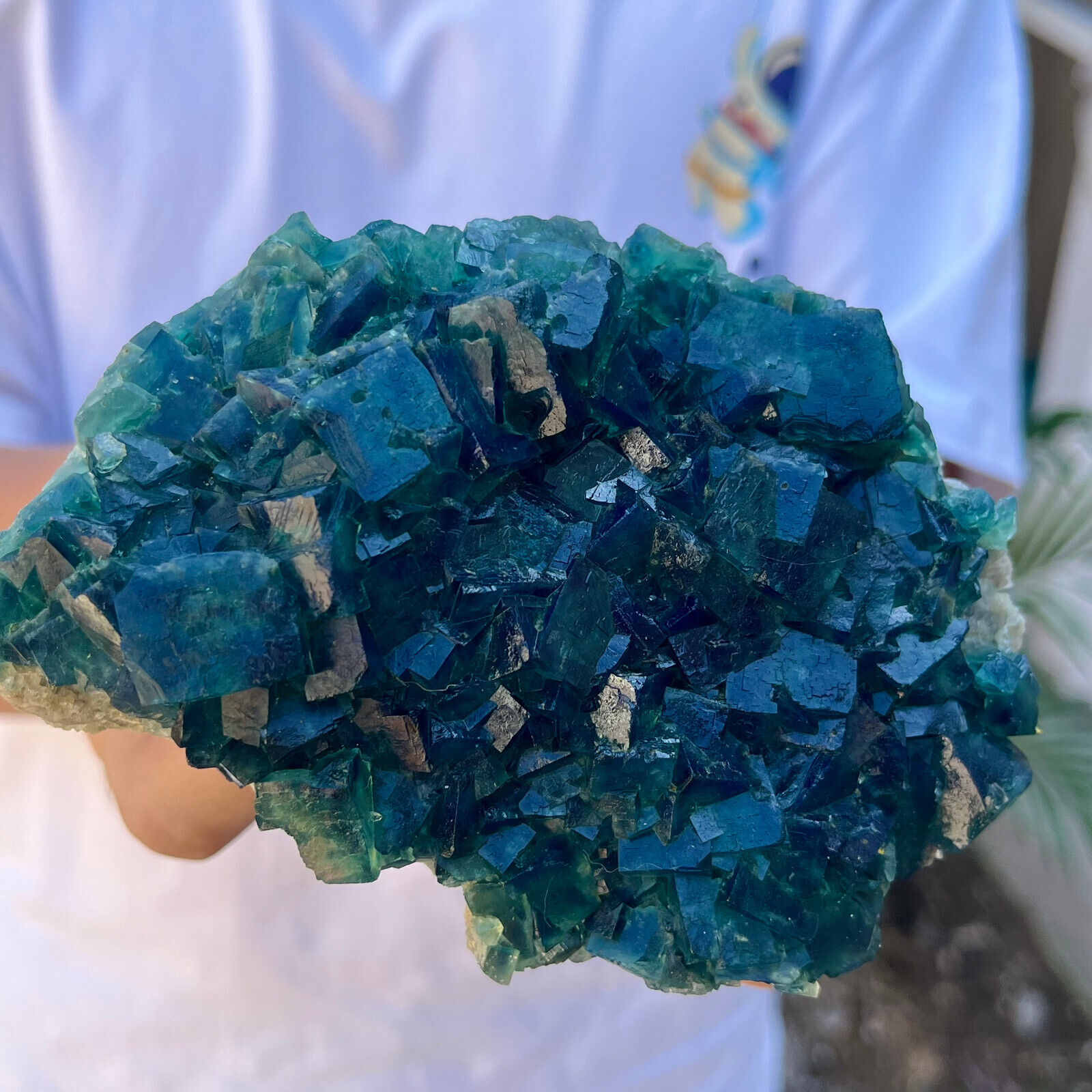 1.45lb NATURAL Green Cube FLUORITE Quartz Crystal Cluster Mineral Specimen