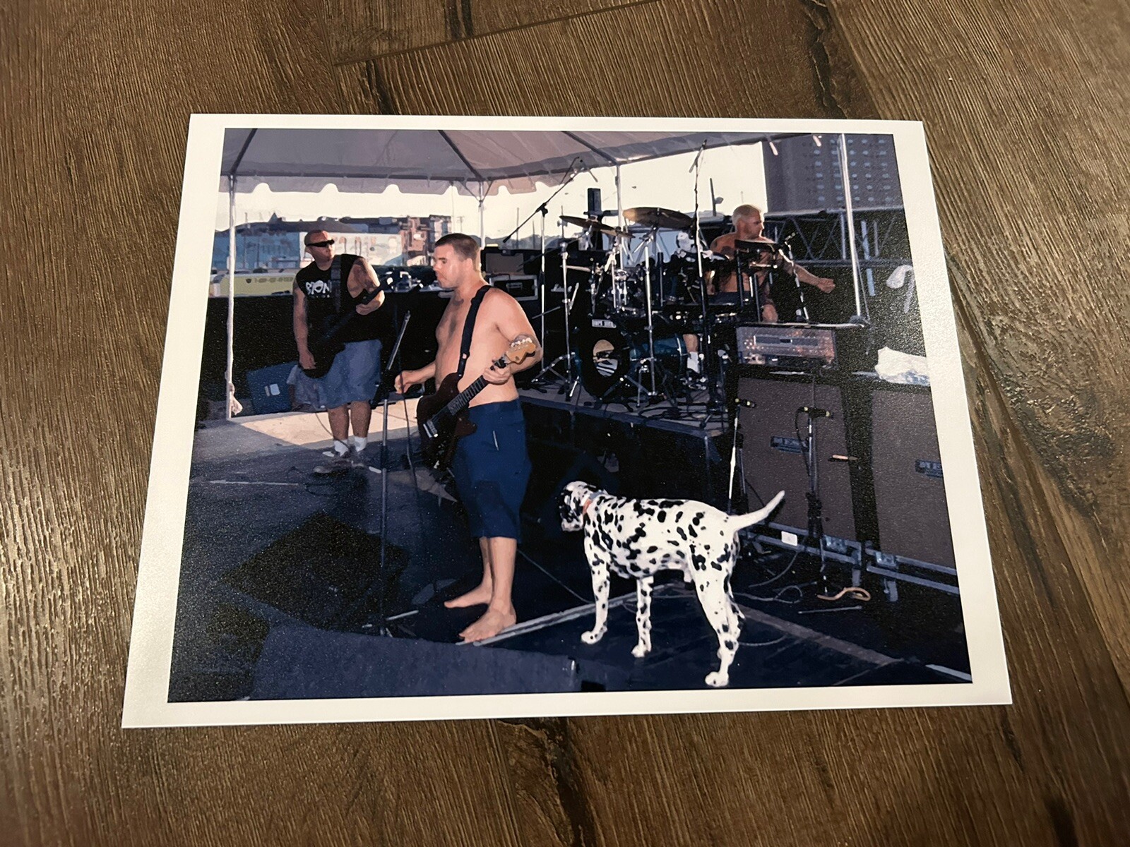BRAD NOWELL Art Print Photo 11