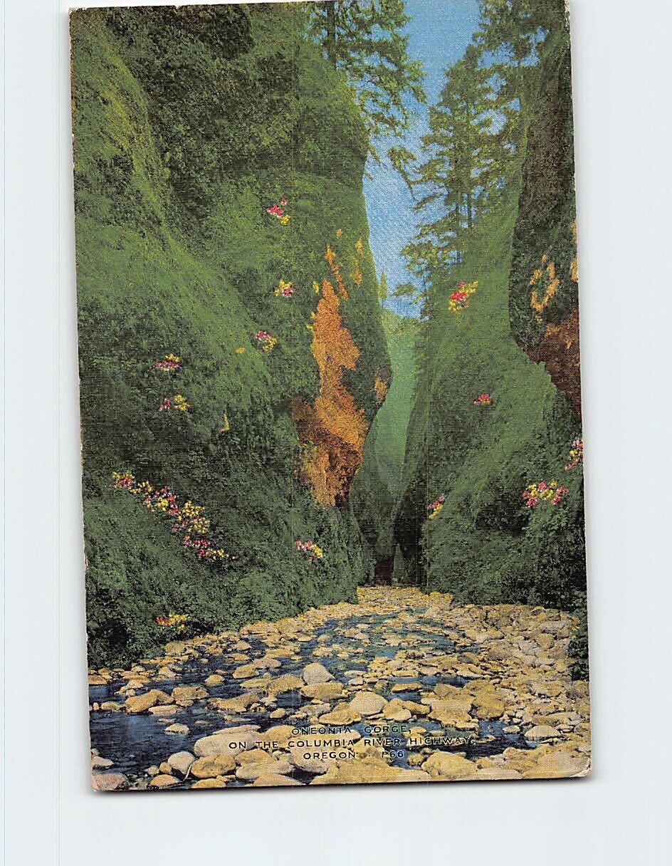 Postcard Oneonta Gorge Columbia River Highway Oregon USA