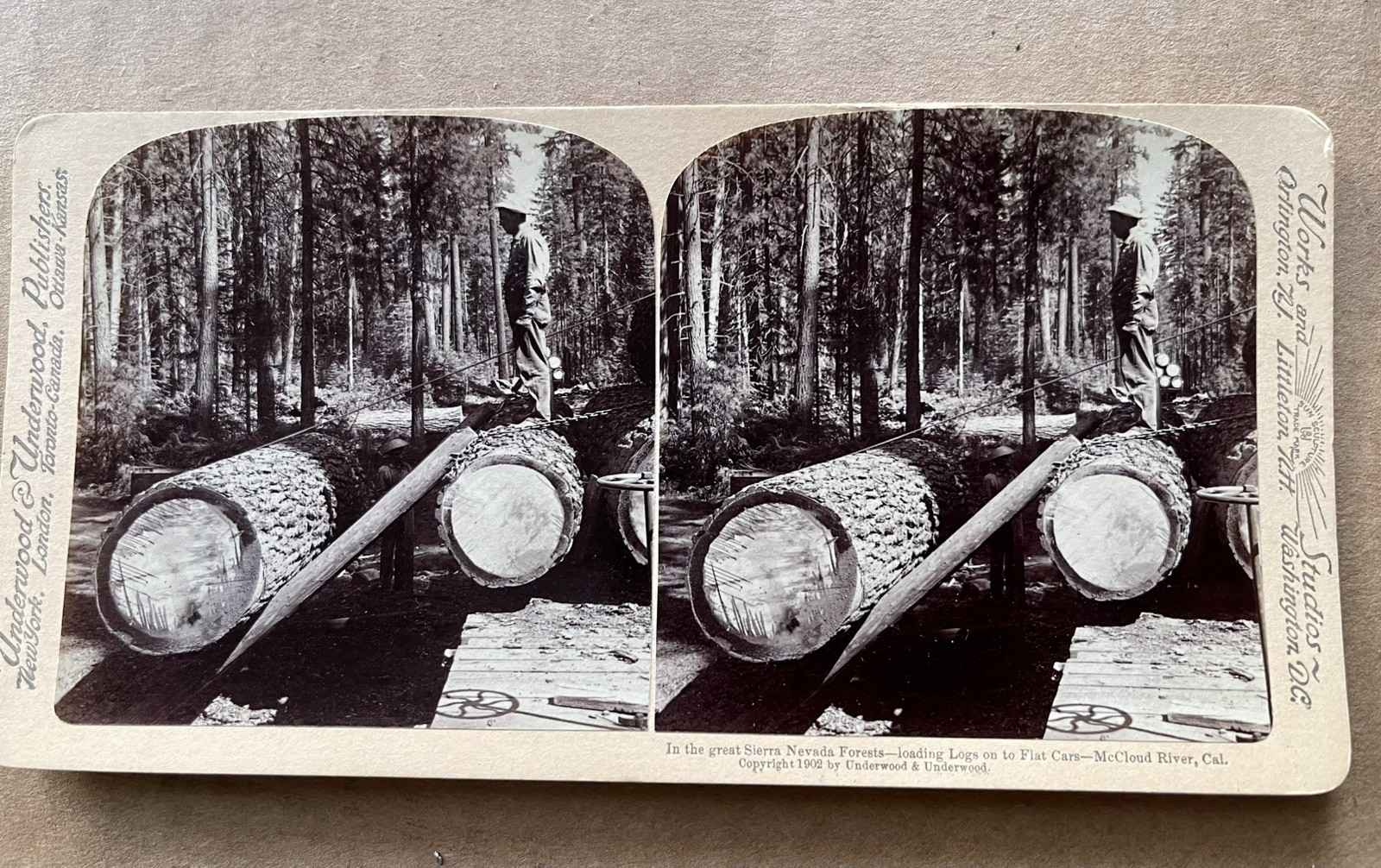 1902 Underwood Stereoview McCloud River California Logging Train Flat Car Mint