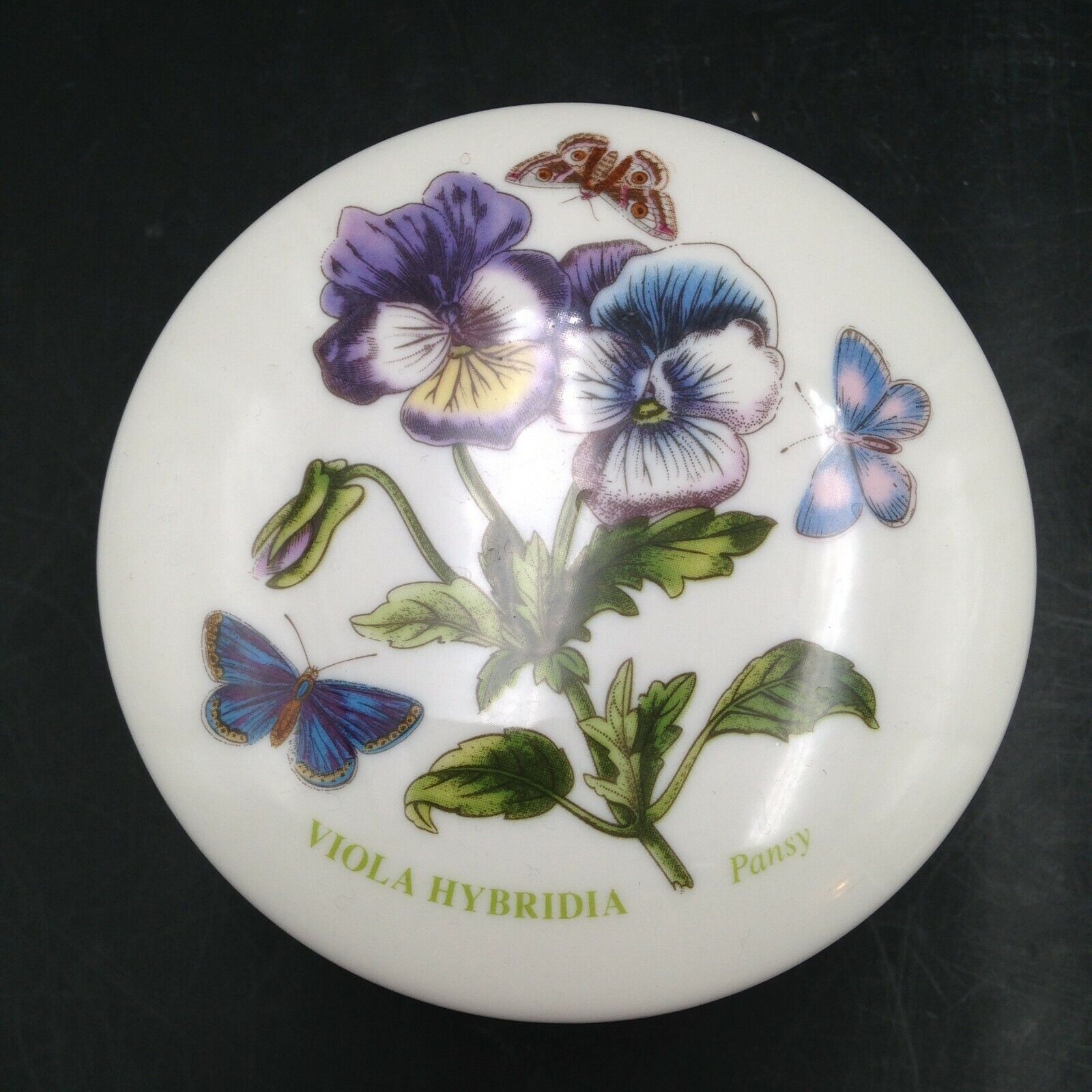 Portmeirion Botanic Garden Trinket Box Viola Hybrida Pansy 2x3.5 Inch Vintage