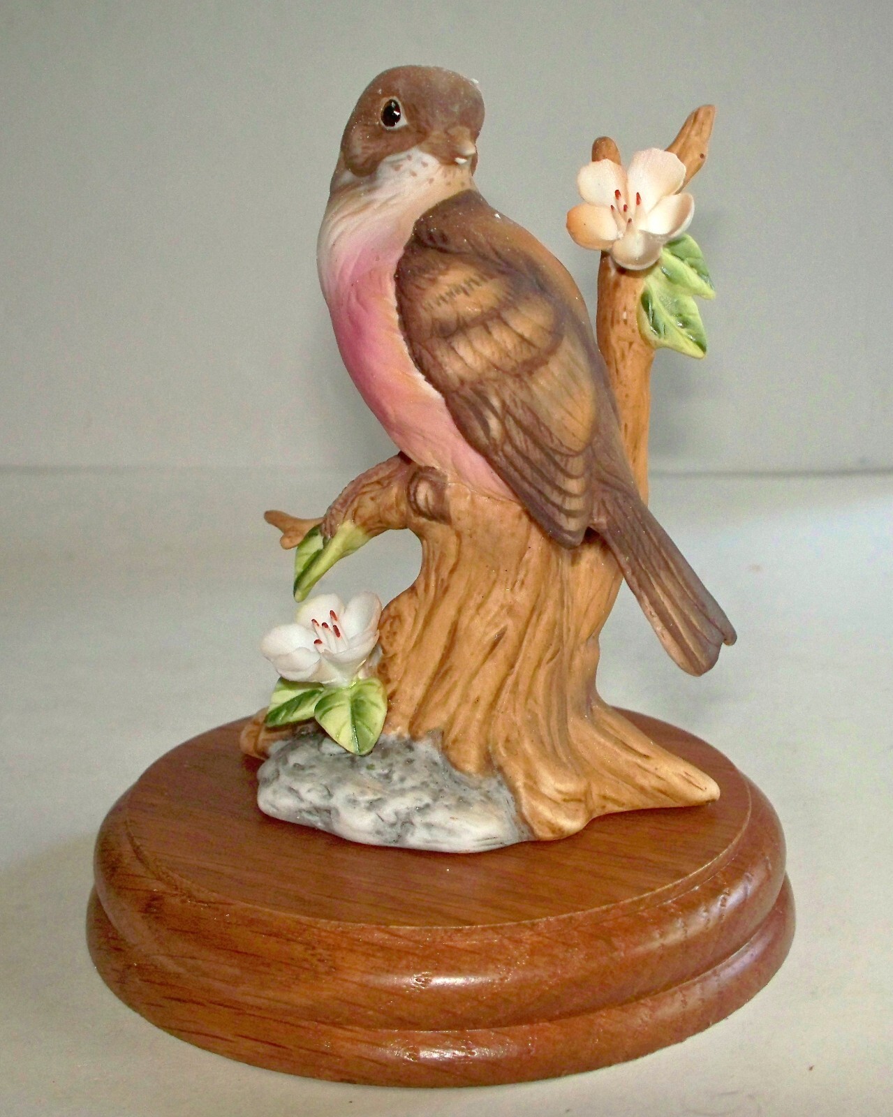 VTG Aldon Vanished Species Porcelain “Lord Howe island Vinous-Tinted Blackbird”
