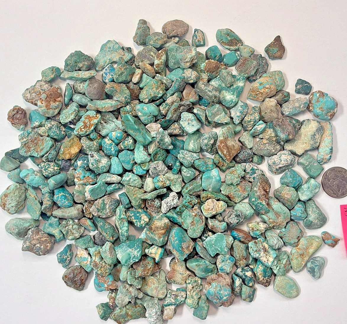 676 Grams of Stabilized American Turquoise Rough Nevada Turquoise Fox mine rough